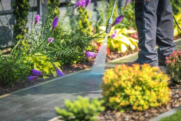 Best Gutter Cleaning  in Horn Lake, MS