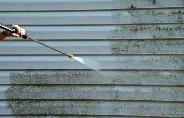 Best Driveway Pressure Washing  in Horn Lake, MS